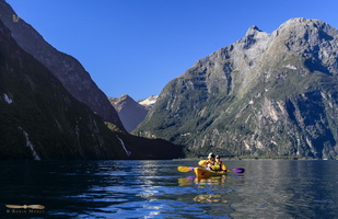 Kayaking on Milford Sound