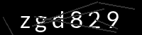 PHP Captcha for Piwigo