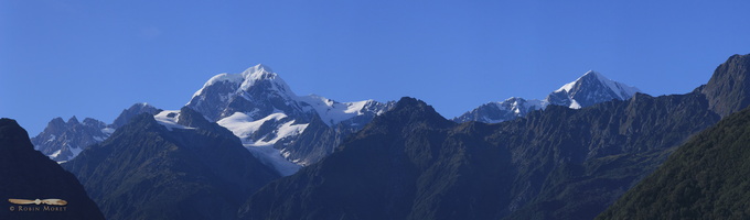 Mount Cook Range from Fox