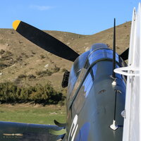Curtiss P-40E Kittyhawk