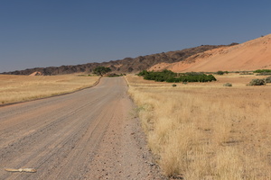 Yellow road to Twyfelfuntein