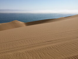 Dunes above Sandwich Harbor