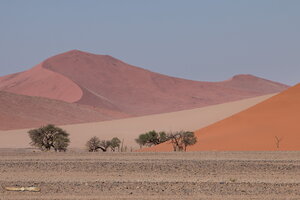 Dunes along Sossuvlei road