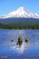 Mount Hood from Trillium Lake