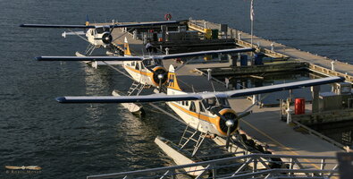 Beaver nest - Click to zoom !