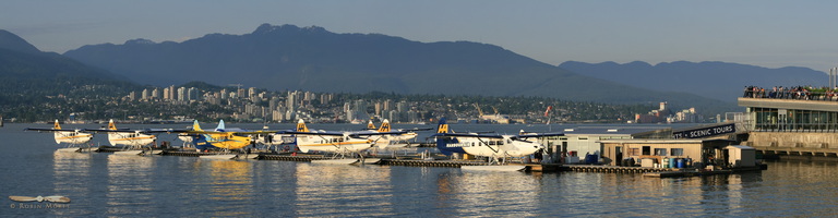Otters nest - Click to zoom !
