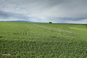 Idaho, home of the irrigation systems