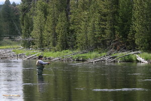 Fly fishing