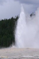 Old Faithful
