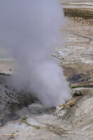 Black Growler steam vent