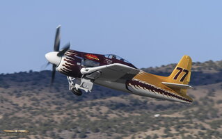 "Rare Bear" taking off