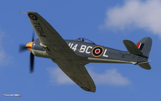Hawker Sea Fury FB.11 "Argonaut"