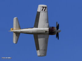 Modified Grumman F8F Bearcat "Rare Bear"