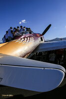 "Rare Bear", winner of 2007 Gold Unlimited