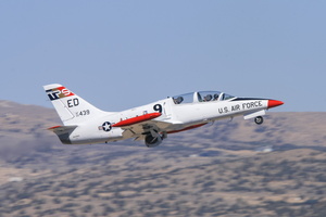 Aero L-39 Albatros "Eddie Bird"