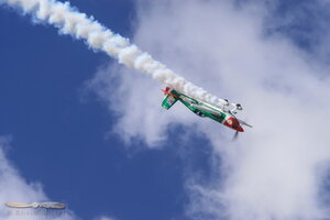 Micheal Goulian's Extra