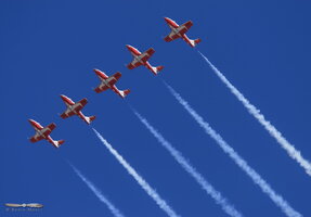 Canadian Air Force Snowbirds demo team