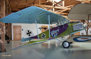 Halberstadt C.V (replica)