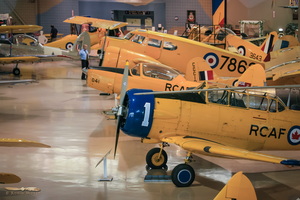 Canadian Yellow