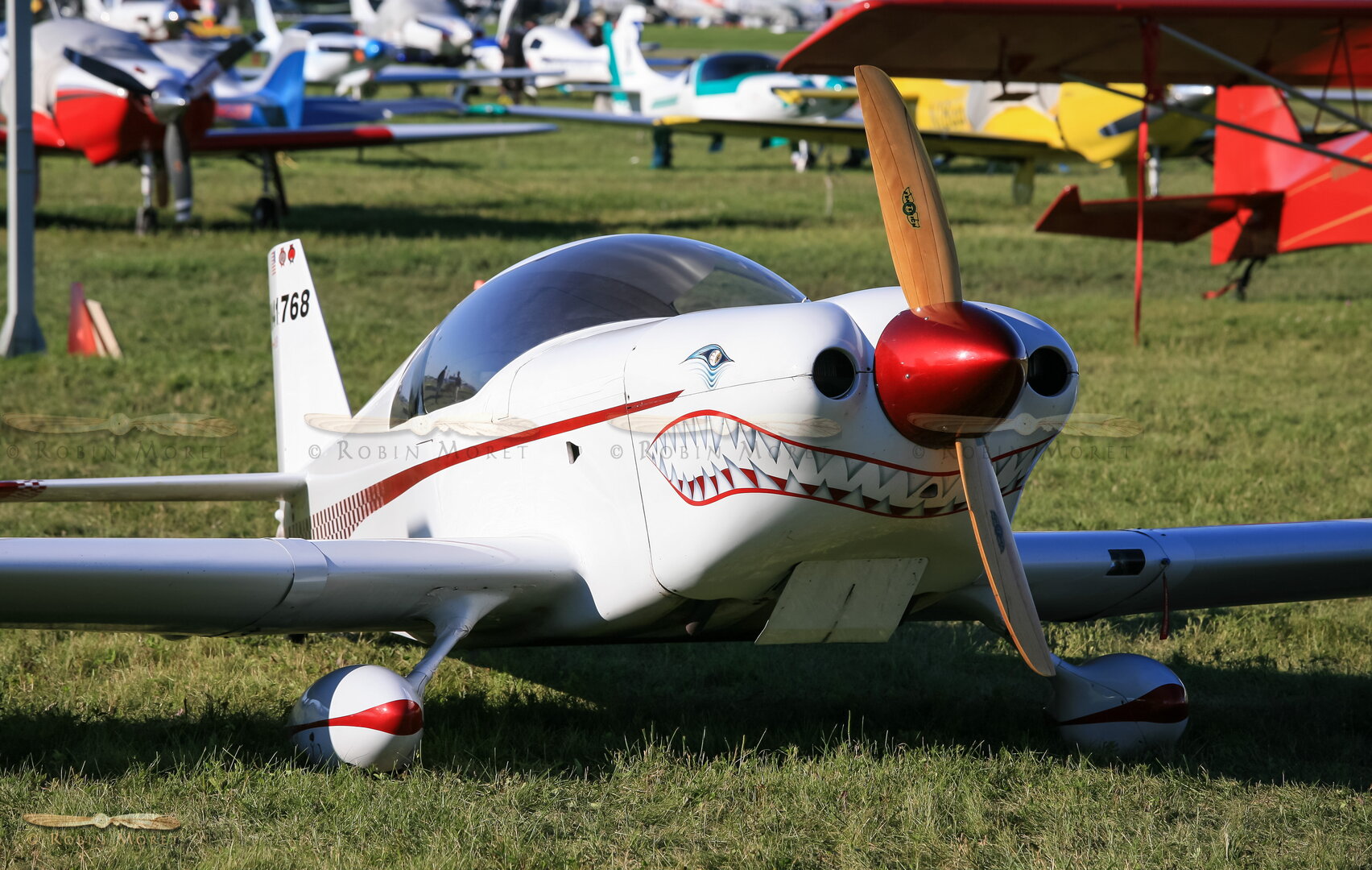IMG_6605.jpg