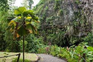 Tahiti - Maraa cave