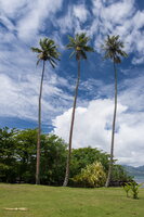 Tahiti - Musee Gauguin