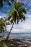 Tahiti - Musee Gauguin