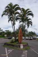 Tahiti - Teahupoo