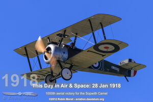 Sopwith Camel F.1 - Warbirds over Wanaka 2012, New Zealand