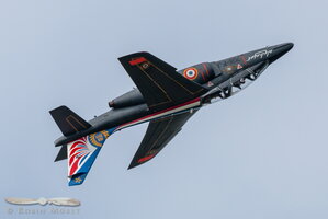 Alphajet Solo Display 2019 colours