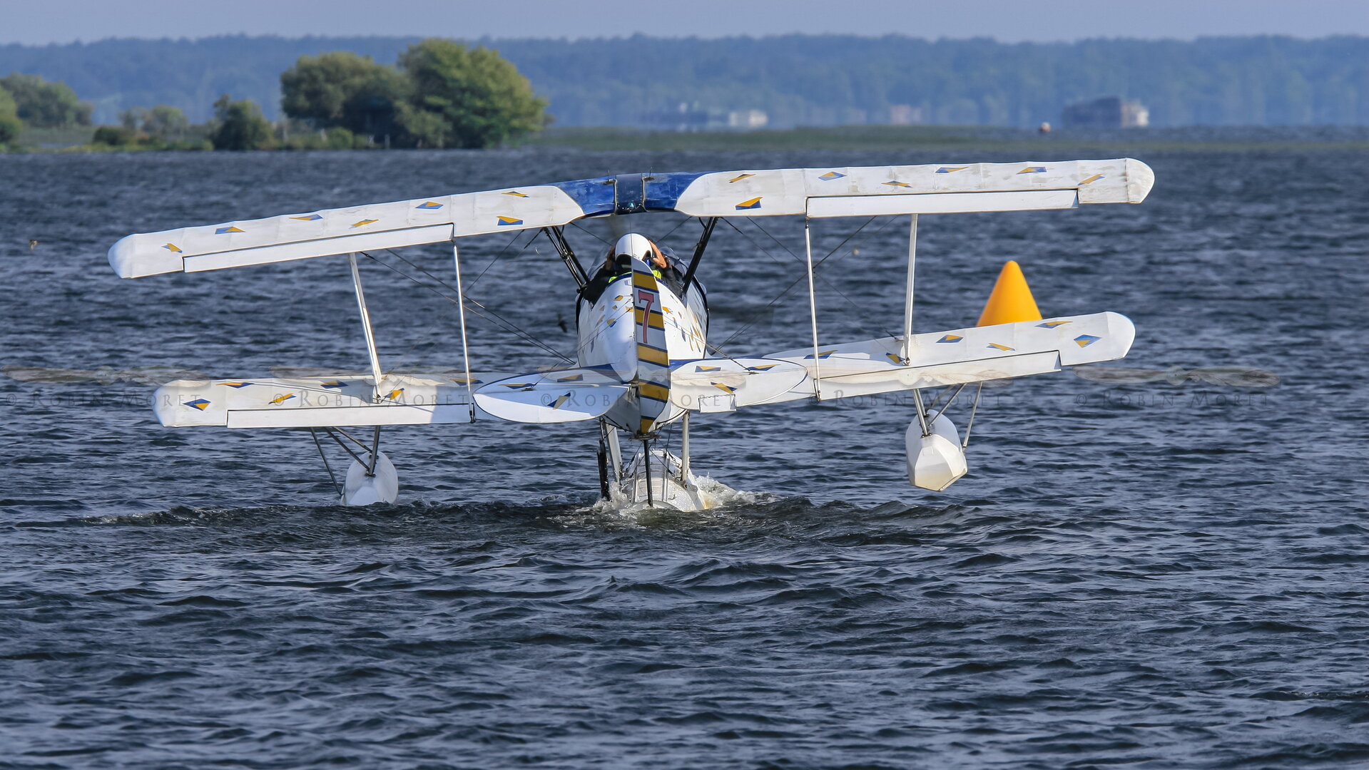 IMG_7901.jpg