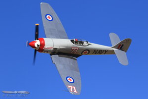 '#71 Sawbones', Hawker Sea Fury
