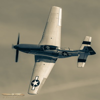 North American P-51D Mustang "Moonbeam McSwine" (monochrome)