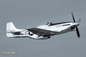 Metal Mustang (monochrome)