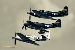 Kingcobras (monochrome)