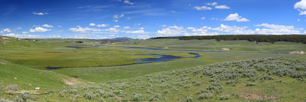 Hayden Valley - Yellowstone National Park, Wyoming - USA - 2013