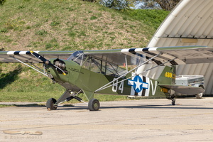 Piper L-4J Grasshopper