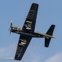 Douglas AD-4N Skyraider "Sandy"