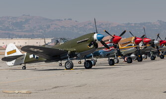 Warhawk & Kittyhawks