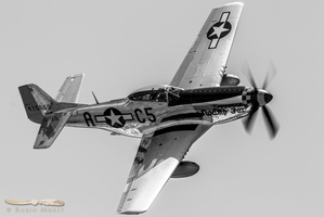 North American P-51D Mustang "Swamp Fox"