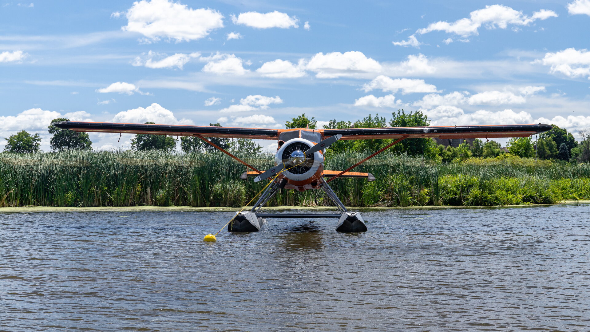 _MG_9097.jpg