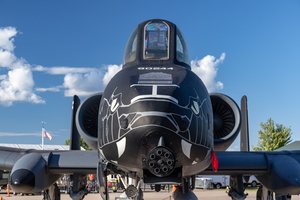 Indiana ANG A-10C 80-0244 from 163rd FS in Black Snakes centenial livery