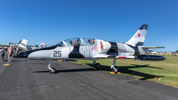 Aero L-39C Albatross N25AL