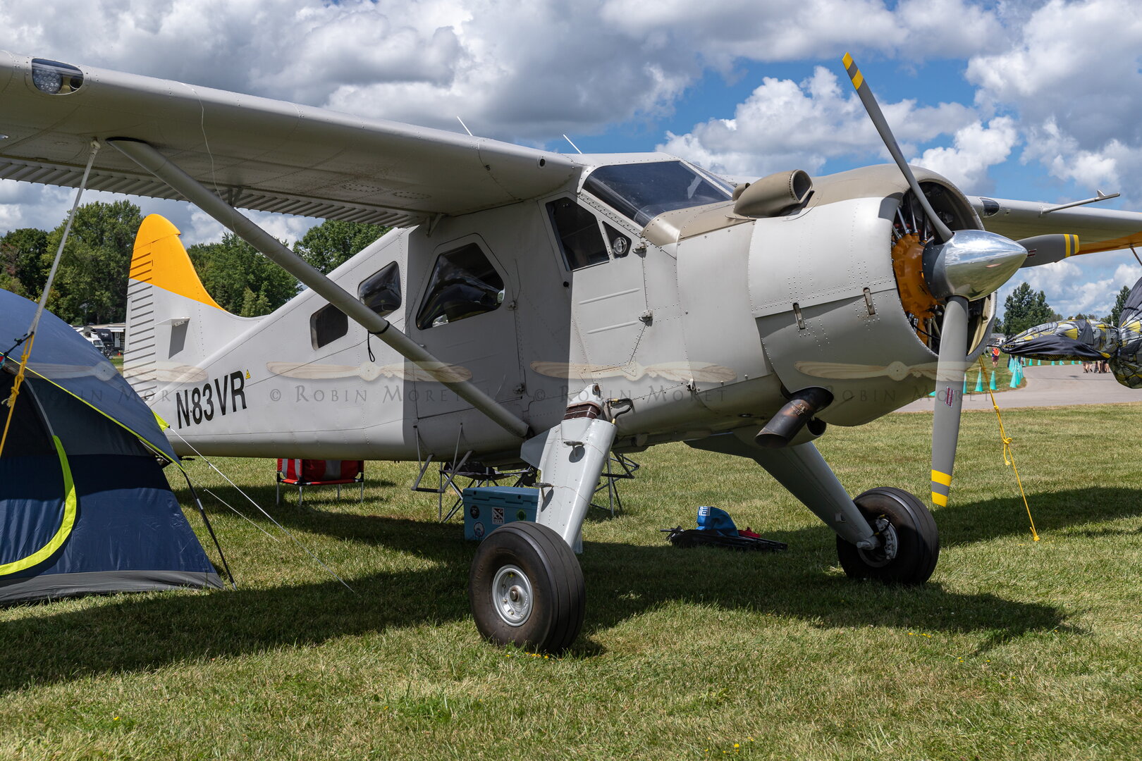 _MG_9810.jpg