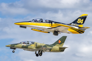 Aero L-39C Albatross Tumbling Goose N247SG