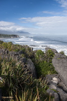 Pancake rocks @ Papaora National Park