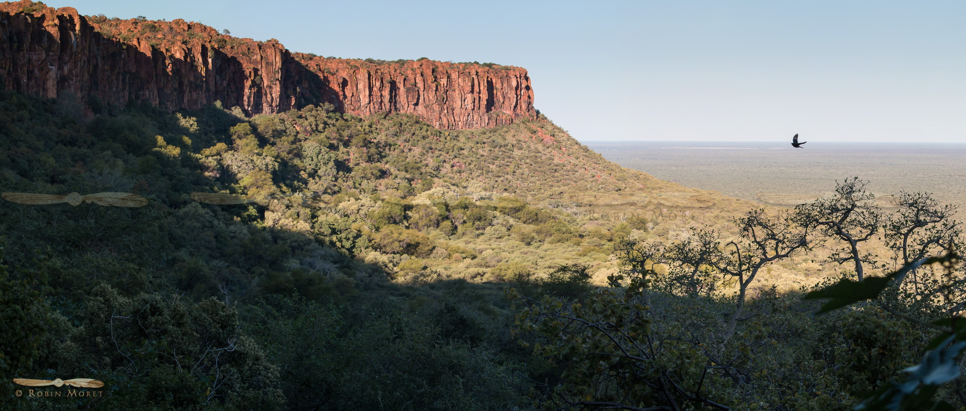 pano-1710-pano-1714 - (63) - 12411x5286.jpg