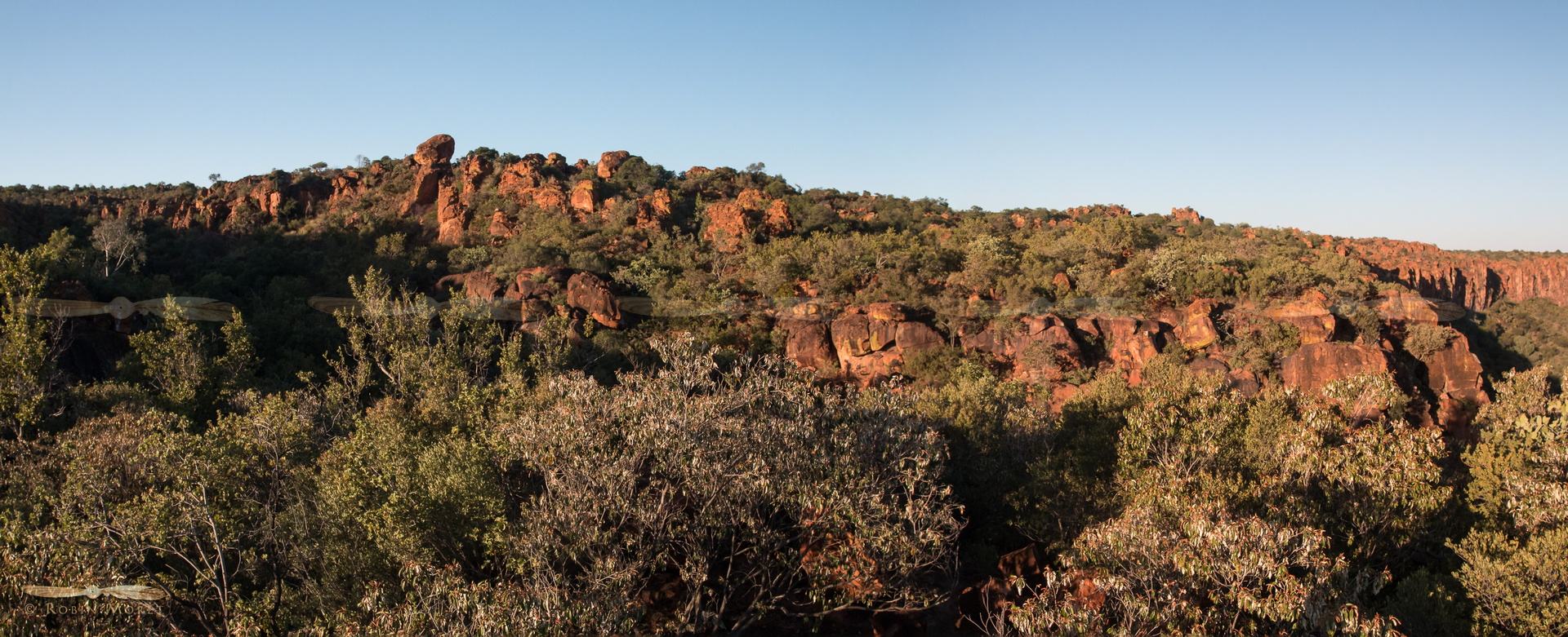 pano-1743-pano-1745 - (58) - 8086x3293.jpg