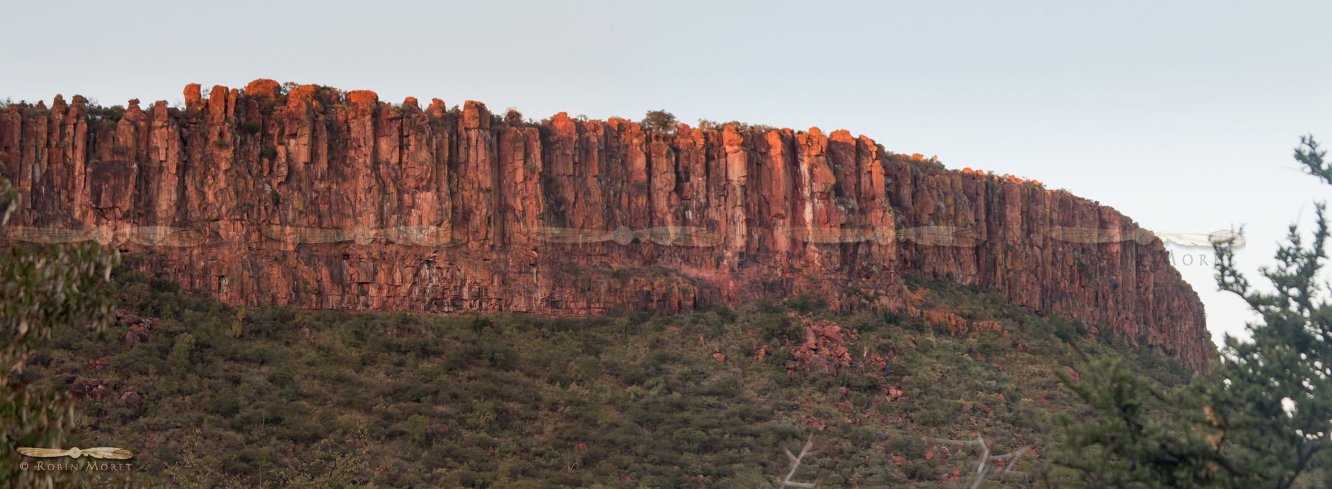 pano-1749-pano-1751 - (55) - 9669x3551.jpg