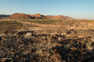 Damaraland landscape near Mowani